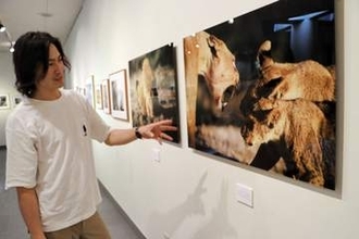 知床のヒグマやナミビアのライオンを撮った約20点展示　宮城・大衡の写真家が地元で作品展　9月13日まで