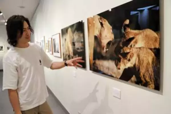 知床のヒグマやナミビアのライオンを撮った約20点展示　宮城・大衡の写真家が地元で作品展　9月13日まで
