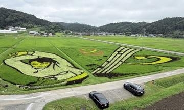 羽生結弦さん　月や星と共に舞う　宮城・角田市の田んぼアート見頃