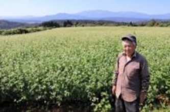 宮城・村田産ソバ、生産量拡大に手応え　品質向上、甘み良し、香りよし　組合設立、農作業効率化　地区の「まつり」も好評