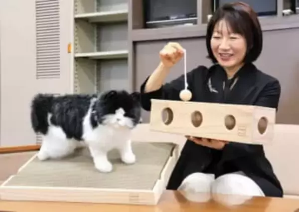 大船渡・森林火災の被災木を愛猫グッズに　盛岡の企業がおもちゃと爪研ぎ発売