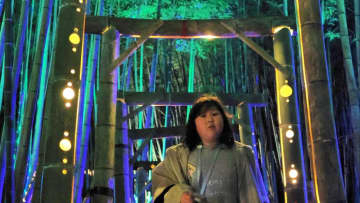 竹林の回廊、幻想的に　宮城・丸森で28日まで週末にライトアップ