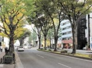 こっちの定禅寺通にも活気を　仙台で「もう一つの定禅寺通りまちづくり協議会」が発足　東部の認知度向上へ