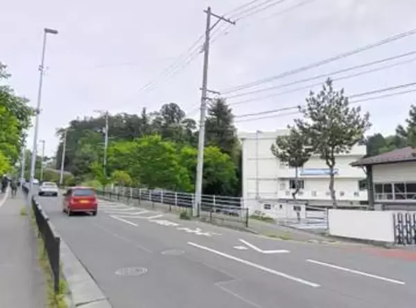 仙台・枡江小近くに熊出没　東北高で目撃された個体と同一の可能性も