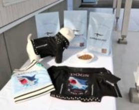 犬用ライダースジャケット「サメジャン」素材は宮城・気仙沼が誇る食材の皮　小型犬から大型犬まで14サイズ受注販売