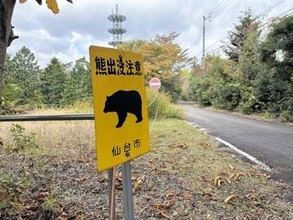 仙台市内でクマ目撃相次ぐ　東北大と東北工大の近く