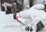「「ネーティブな津軽弁が分かる人」急募!?　青森市、除排雪受付窓口を増員＜みちのく＞」の画像1