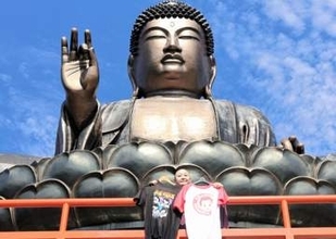 12日に仙台・仏国寺で9回目「ナムロック」　音楽とグルメ堪能して