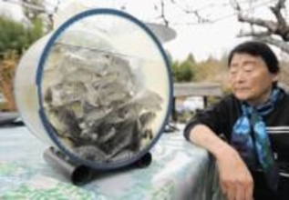 淡水魚を飼育しませんか　宮城・大崎で「メダカの郷」を主宰する高橋さんが無料配布中