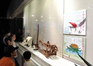 「筋肉ムキムキ過ぎて絶滅」した生物は?　図鑑や化石、標本で紹介　秋田県立博物館で展示会