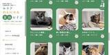 「新しい飼い主を待ってるよ　保護されたイヌやネコのマッチングサイト開設　宮城県」の画像1