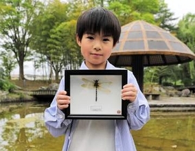 仙台の小学2年生が希少なトンボを初捕獲　定着の可能性に愛好家らも驚く