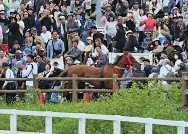 福島・相馬野馬追　会場から馬が脱走し観光客けが