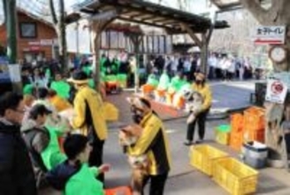 宮城蔵王キツネ村に遠刈田温泉からバス運行へ　「抱っこ体験に間に合う」ダイヤ設定