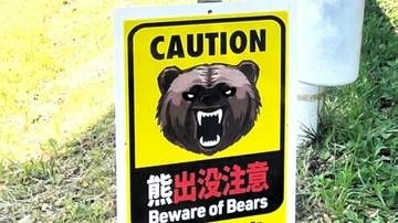 仙台・北山1丁目の住宅地で「熊が道路を横断している」