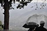 「山林火災　焦がれた「恵みの雨」＜記者コラム・北から南から＞」の画像1