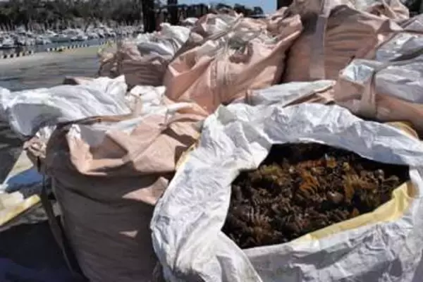 重油流出の巡視船への宮城海保のオイルフェンス設置遅れる?　被害額3億円超える見通し