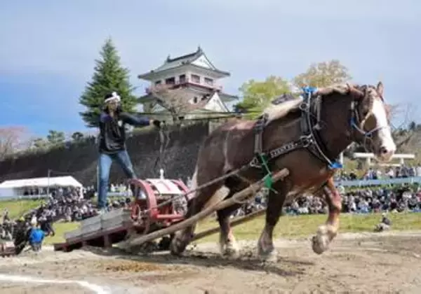 人馬一体、拍手喝采　涌谷で東北輓馬大会