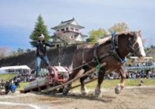 人馬一体、拍手喝采　涌谷で東北輓馬大会