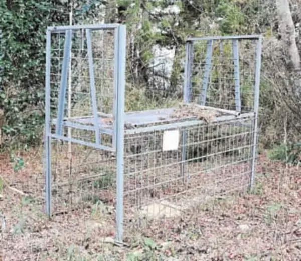 宮城・山元では異例、クマ1頭捕獲