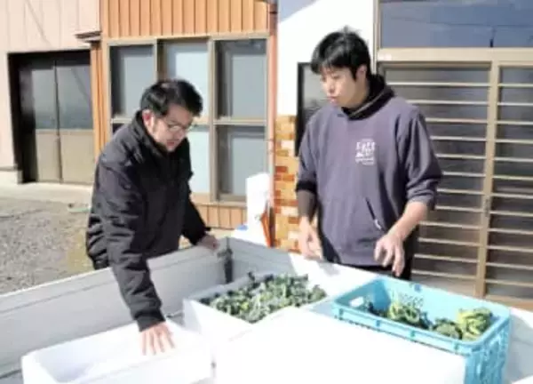 「港町の気仙沼を北限のブロッコリー産地に」地元の製氷会社と包装資材会社がタッグ　異業種挑戦の狙いとは？