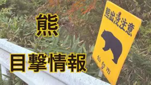 「茂みの中に子熊と親熊がいる」仙台市地下鉄青葉山駅近くで大学生目撃