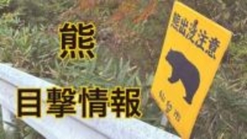 「茂みの中に子熊と親熊がいる」仙台市地下鉄青葉山駅近くで大学生目撃