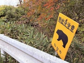 仙台高校近くで「熊1頭がいるのを見た」と目撃情報