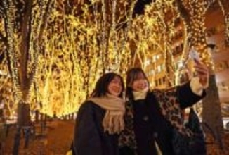 光の回廊、一足早く　仙台・ページェントが試験点灯