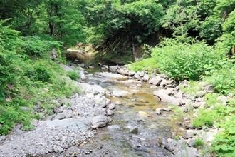 青森・弘前の岩木川支流にキャッチ＆リリースの釣り場オープン