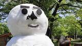 「仙台・青葉まつりに北海道から珍客＜みちのく＞」の画像1