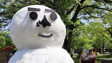 仙台・青葉まつりに北海道から珍客＜みちのく＞