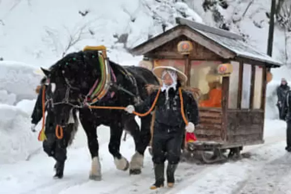 馬に引かれて雪道14キロ　秋田・羽後で伝統の「花嫁道中」