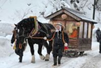 馬に引かれて雪道14キロ　秋田・羽後で伝統の「花嫁道中」