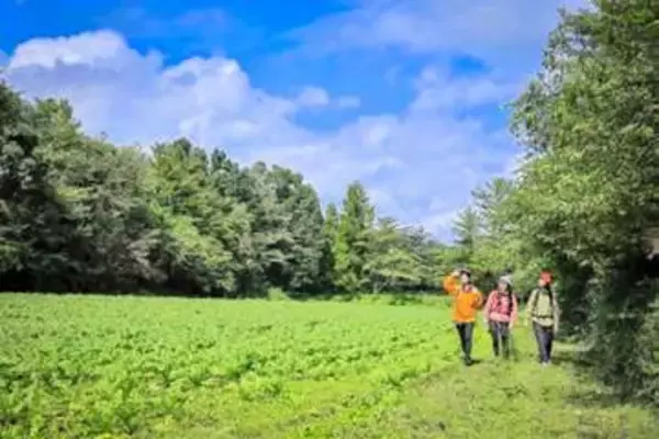 熊の大量出没で延期の宮城オルレ、17日オープン　蔵王・遠刈田温泉コースの9キロ