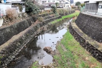冬眠しない同一個体か　仙台市街地の熊、東仙台や原町でも目撃相次ぐ　梅田川の土手走る姿も