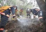 「岩手・大槌山林火災　降雨で火勢弱まる　「深刻な局面脱した」　　政府、局地激甚災害指定へ」の画像1