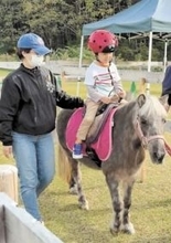 「馬の魅力を伝えられる場所を」馬と触れ合うカフェ、心身癒やす＜東北馬物語（5）山形　うまのすけカフェ＞