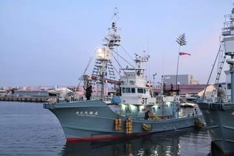 宮城・石巻の捕鯨会社が自己破産申請、負債5億5000万円
