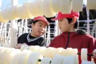 皮むき輪切り、「へそ大根」作り　宮城・丸森の丸森小4年生挑戦