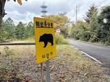 「「熊がビニール袋をあさっている」仙台の住宅街で目撃情報」の画像1