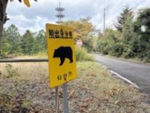 「熊がビニール袋をあさっている」仙台の住宅街で目撃情報