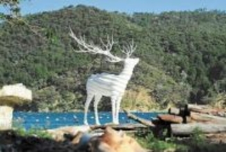 最大26万人動員「リボーンアート・フェスティバル」本祭の開催困難　宮城・石巻市