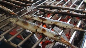 旬のサンマ8000匹を無料で振る舞います　岩手・大船渡で30日にイベント