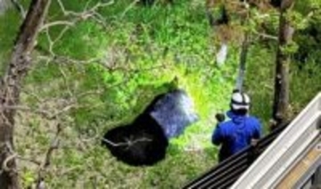 体長1.5メートル、体重125キロ　仙台の市街地に迷い込んで駆除された熊はどんなルートをたどってきたのか