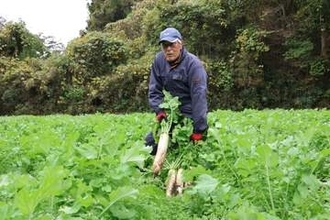 宮城・蔵王の「高原ダイコン」店頭の3割引で提供　31日から「晩秋祭」