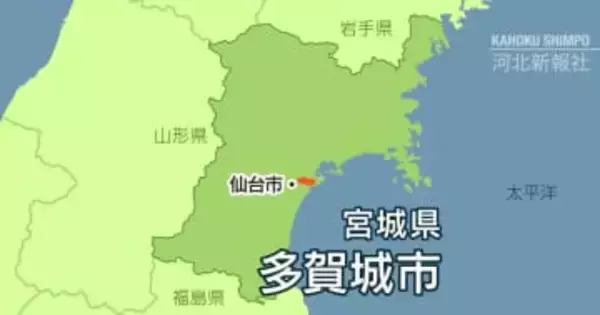 「熊?」と思ったら「大きめのネコ」でした　宮城・多賀城で複数の目撃情報