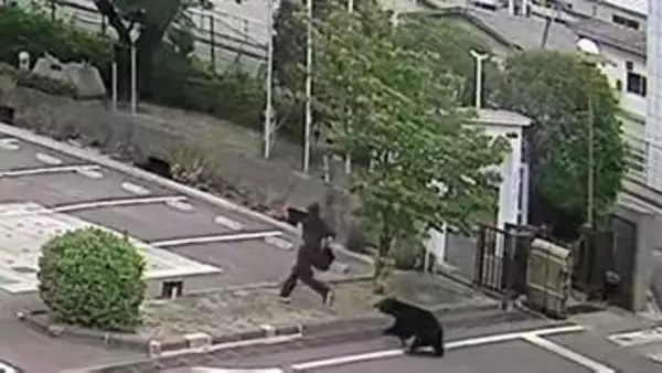 福島の住宅街に熊出没、男女4人が次々襲われ重軽傷　市が緊急銃猟検討