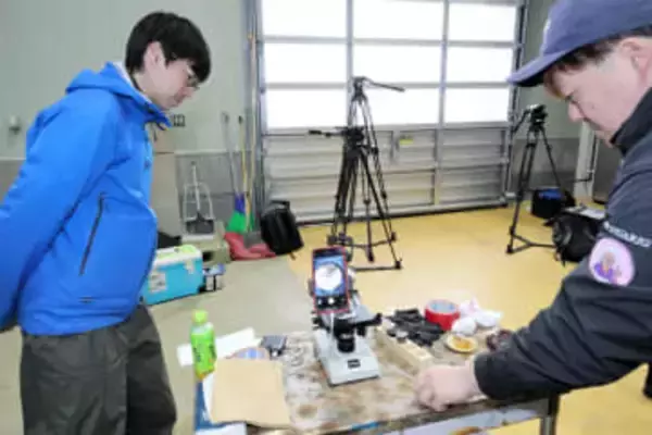 陸奥湾ホタテ、青森・野辺地町漁協が人工種苗の実験開始　高温被害や食害を受け、稚貝の安定確保へ