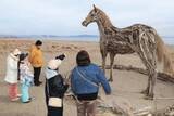 「流木で勇壮な馬像　砂の彫刻家・保坂さんが制作　宮城・東松島・野蒜」の画像1